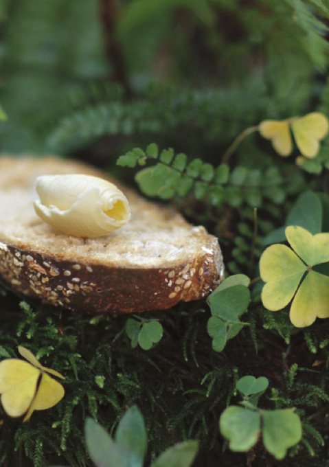 DIE BUTTER ist Natur